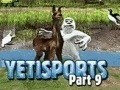 Yeti Sports: Part 9 - Final Spit
