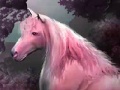 Tired pink horse slide puzzle