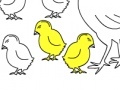 Chicken Family: Coloring