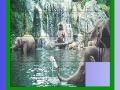 Elephants in the sea slide puzzle