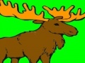 Deer coloring game