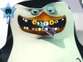Skipper at the dentist