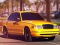 Miami Taxi Driver