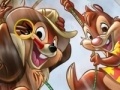 Chip and Dale hidden numbers