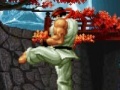 The king of the fighters. Wing V1.8