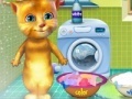 Ginger washing clothes