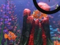 Finding Nemo hide and seek