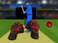 Cricket tap catch