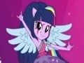 Equestria Girls: Puzzles with Twilight Sparkle
