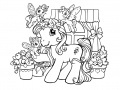 My Little Pony: Crystal Princess Coloring Book