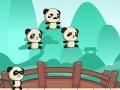 Kung Fu Panda Troop 