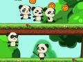 Panda Shock Troop 