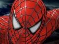 Spider-man 3: Rescue Mary Jane 