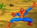 Spiderman: Hero Training 