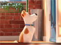 Hidden Letters in The Secret Life of Pets
