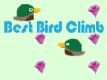 Best Bird Climb