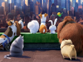 The Secret Life Of Pets Find Objects