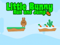 Little Bunny Run and Jump