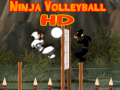 Ninja Volleyball HD