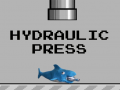 Hidraulic Press