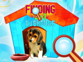 Finding 3 in 1: Doghouse