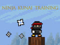 Ninja Kunai Training