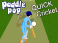 Paddle Pop Quick Cricket
