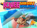 Knee Surgery Simulator