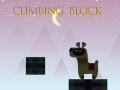 Climbing Block