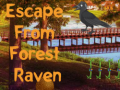 Escape from Forest Raven