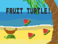 Fruit Turtle
