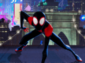 Spiderman into the spiderverse Masked missions