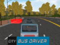 City Bus Driver  