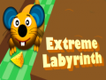 Extreme Labyrinth
