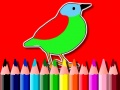 Back To School: Birds Coloring Book