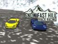 Snow Fast Hill: Track Racing