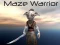 Maze Warrior