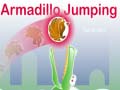 Armadillo Jumping