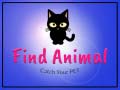 Find Animal