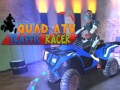 Quad ATV Traffic Racer