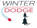 Winter Dodge