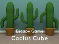 Escape game Cactus Cube 