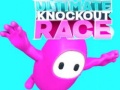 Ultimate Knockout Race