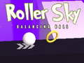 Roller Sky Balance Ball
