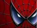 Spiderman In New York