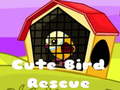 Cute Bird Rescue