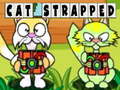 Cat Strapped