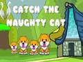 Catch the naughty cat