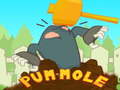 Pum-Mole