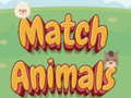 Match Animals